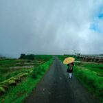 Meghalaya Honeymoon Murder Case 2025