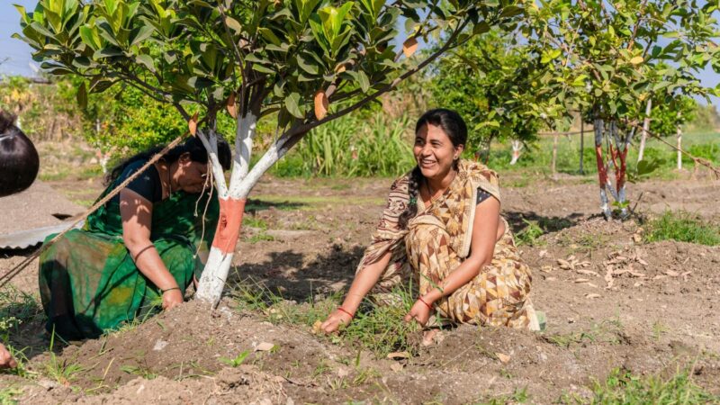 Hindi pm kisan yojana 369 369