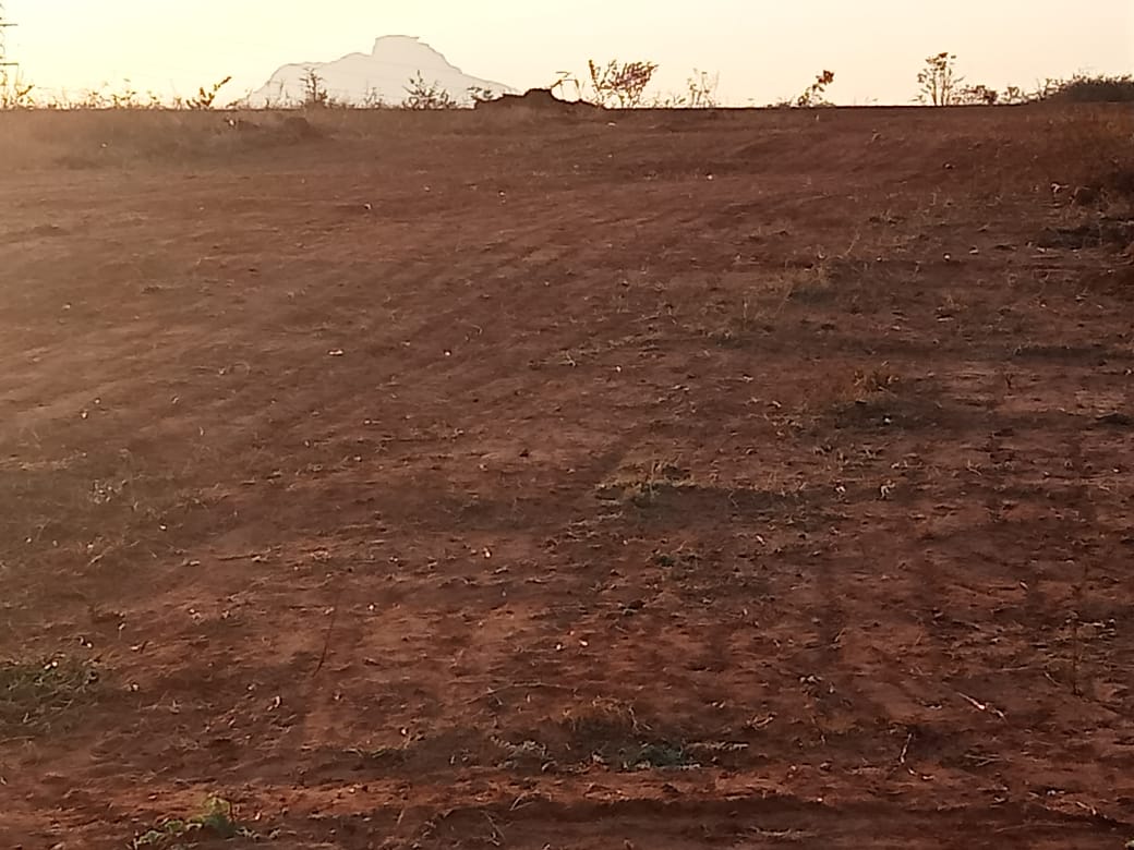 Prime 54-Acre Land Investment Opportunity in Minnapura , KARNATAKA, INDIA