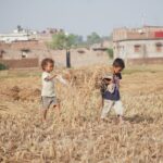 Bihar’s New Cabinet: A Fresh Mandate for Development Under Nitish Kumar’s 10th Term