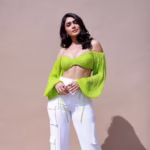 Dhanush & Mrunal Thakur Wedding Rumors Explode: February 14, 2026 Date Confirmed?