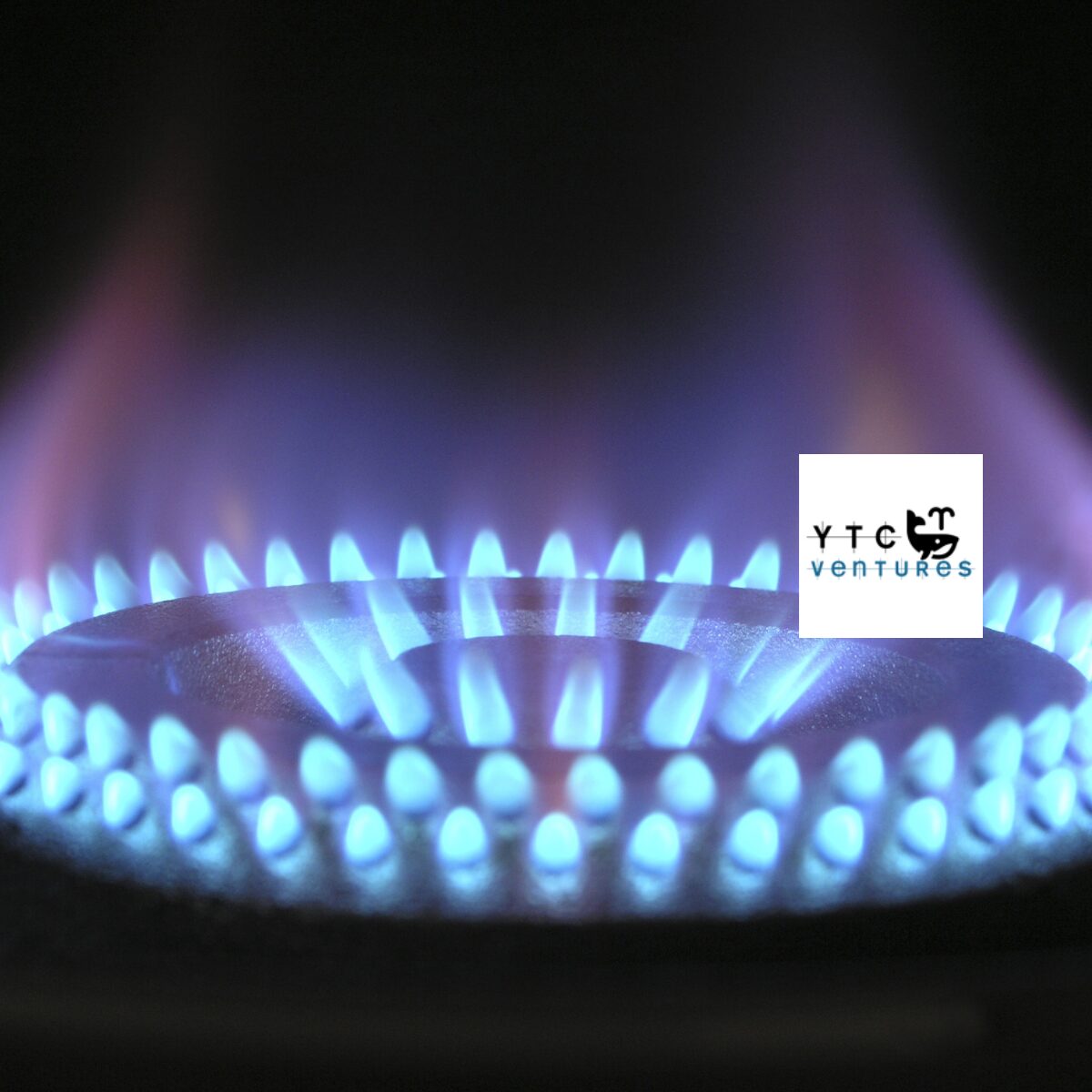 Strategic Investment Opportunity: Integrated CBG & Agro-Tourism Project in Vrindavan-Mathura-Agra Corridor