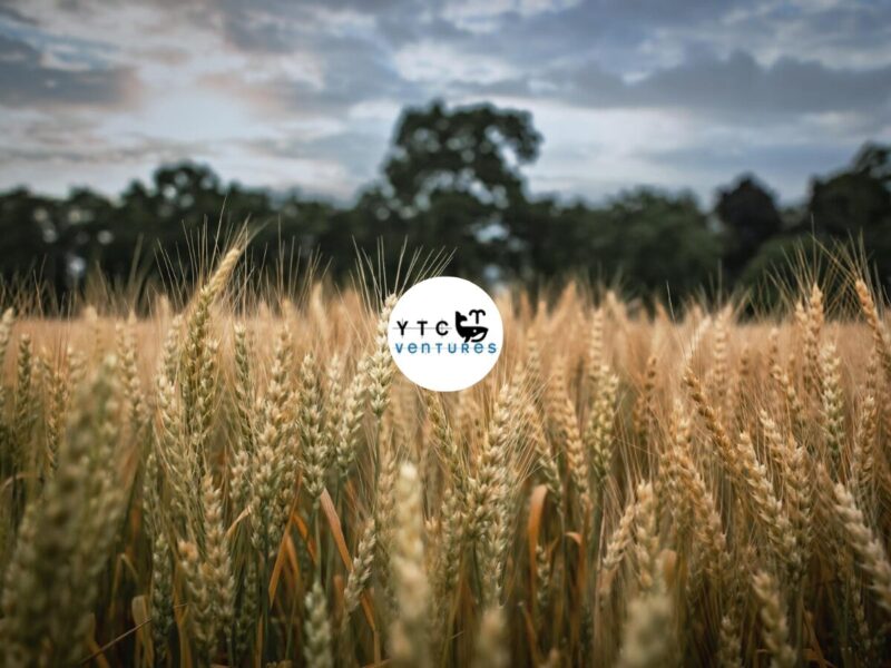 Investor Seeking to Invest in Canadian Agriculture Land (1,000 Acres to 5,000+ Acres) | Canada Farmland Buyer Mandate