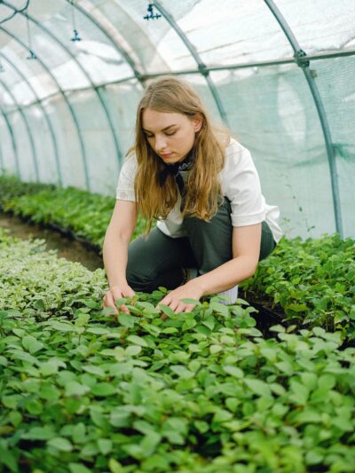 Agriculture & Food Security