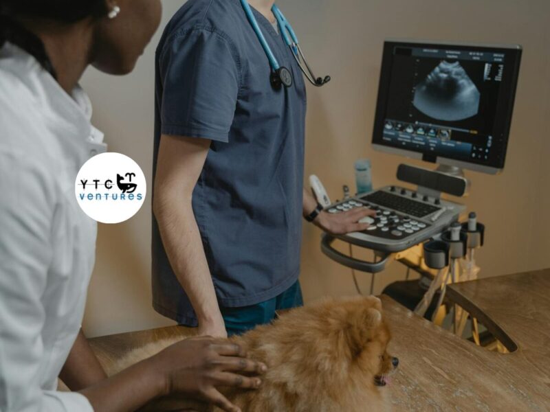 PRIVATE EQUITY INVESTMENT OPPORTUNITY INDIA 24X7 PREMIUM PET HOSPITAL INVESTMENT OPPORTUNITY – MANGALORE, SOUTH INDIA