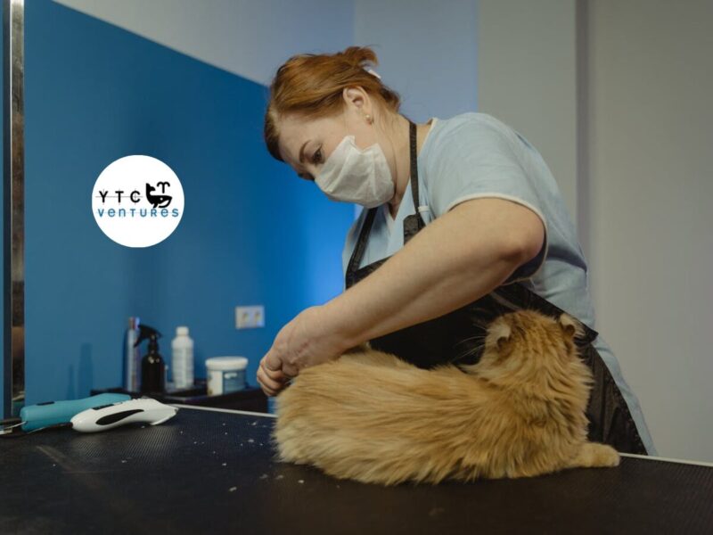 PRIVATE EQUITY INVESTMENT OPPORTUNITY INDIA 24X7 PREMIUM PET HOSPITAL INVESTMENT OPPORTUNITY – MANGALORE, SOUTH INDIA
