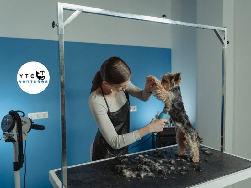 PRIVATE EQUITY INVESTMENT OPPORTUNITY INDIA 24X7 PREMIUM PET HOSPITAL INVESTMENT OPPORTUNITY – MANGALORE, SOUTH INDIA