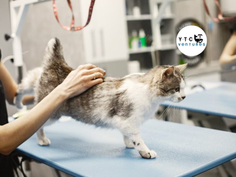SEEKING G+1 COMMERCIAL SPACE IN MANGALORE FOR 24x7 PET HOSPITAL PROJECT