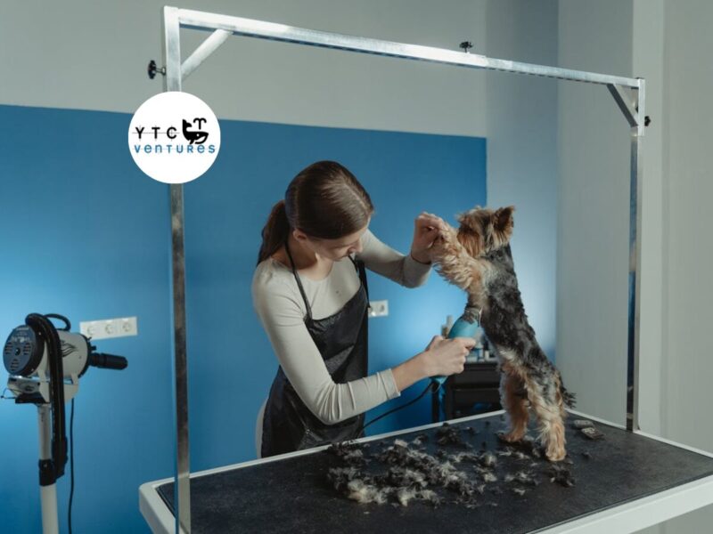 SEEKING G+1 COMMERCIAL SPACE IN MANGALORE FOR 24x7 PET HOSPITAL PROJECT