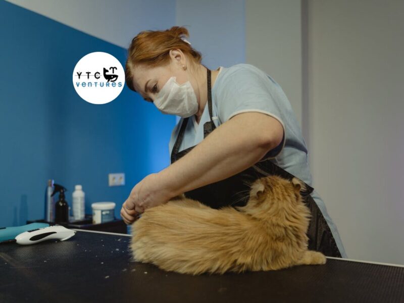 SEEKING G+1 COMMERCIAL SPACE IN MANGALORE FOR 24x7 PET HOSPITAL PROJECT