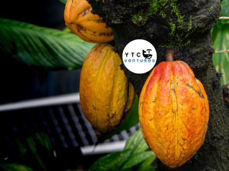 Côte d'Ivoire Cocoa Processing Investment Opportunity Building Africa's Next Global Cocoa & Chocolate Manufacturing Platform