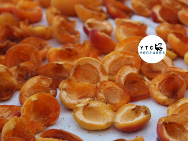 Investment Opportunity: Food Processing & Beverage Manufacturing SPV – Shillong, Meghalaya, India