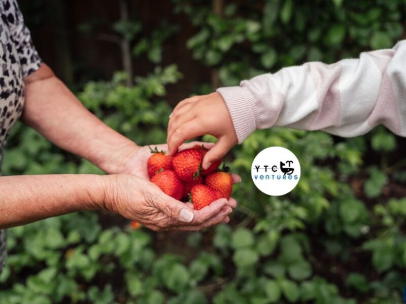Investment Opportunity: Controlled-Environment Strawberry Farm in Bangladesh