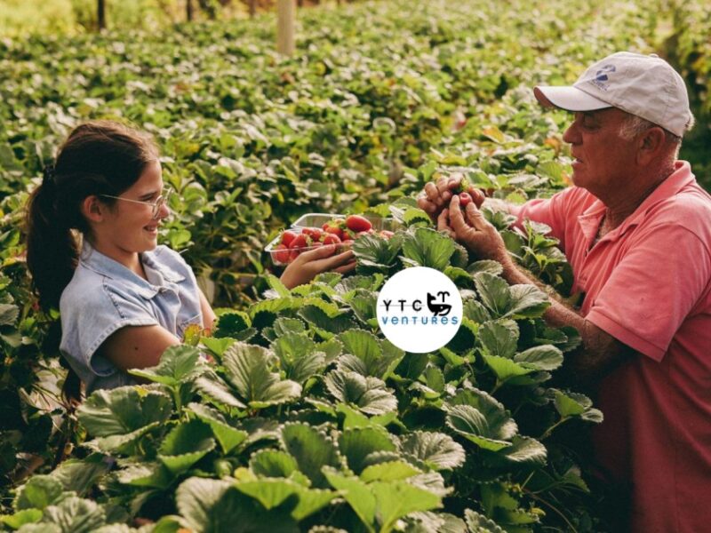 Investment Opportunity: Controlled-Environment Strawberry Farm in Bangladesh