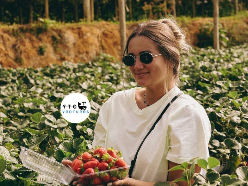 Investment Opportunity: Controlled-Environment Strawberry Farm in Bangladesh