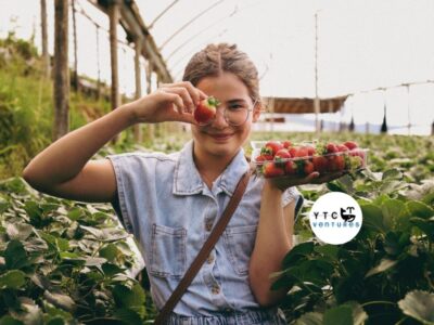 Investment Opportunity: Controlled-Environment Strawberry Farm in Bangladesh