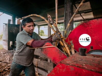 Jaggery Manufacturing & Agro-Processing Facility | Mysuru, Karnataka