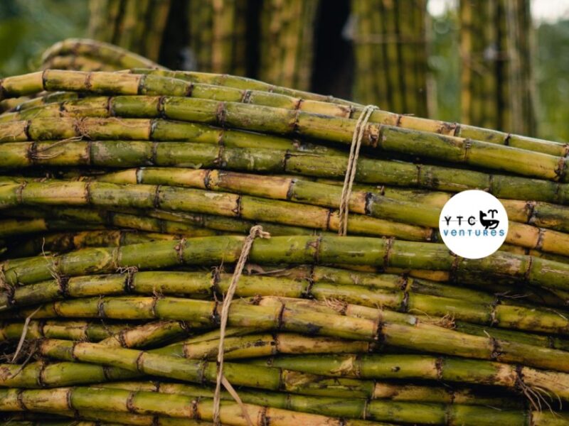 Jaggery Manufacturing & Agro-Processing Facility | Mysuru, Karnataka