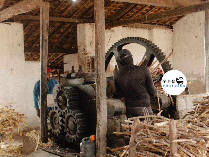 Jaggery Manufacturing & Agro-Processing Facility | Mysuru, Karnataka